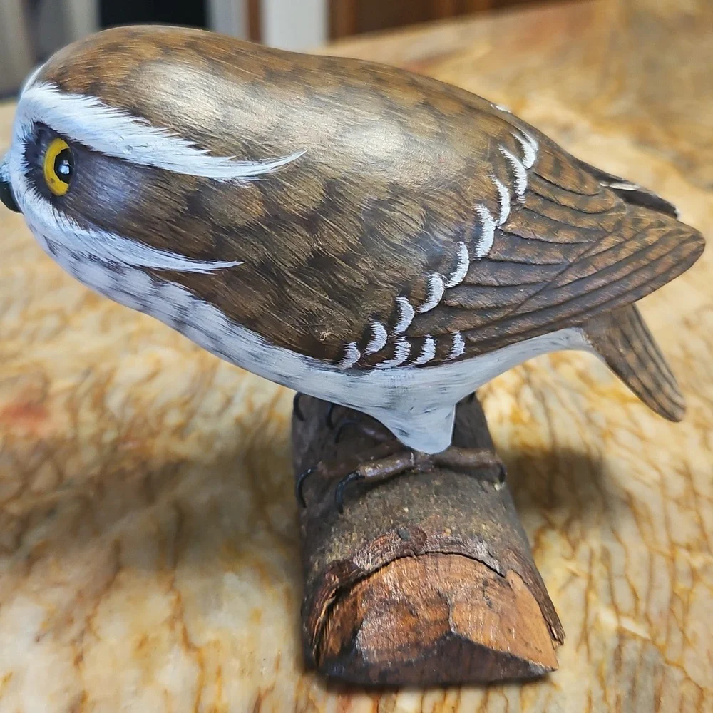 Saw Whet Owl on perch
